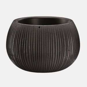 Prosperplast Bowl Plastic With Black Cement Color Deposit, 21,8 (alto) x 37 (largura) x 37 (profundo) CMS