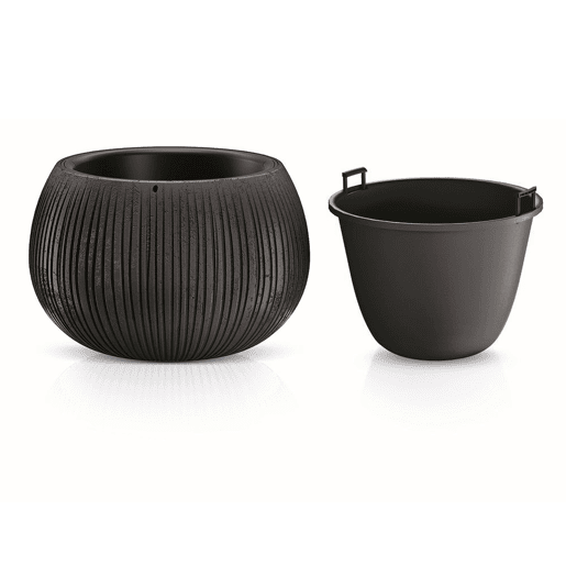 Prosperplast Bowl Plastic With Black Cement Color Deposit, 21,8 (alto) x 37 (largura) x 37 (profundo) CMS