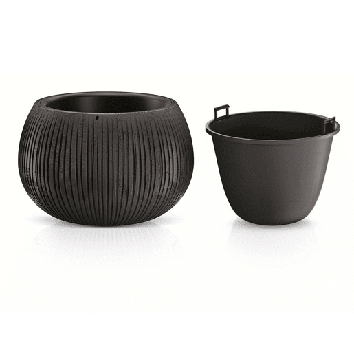 Prosperplast Bowl Plastic With Black Cement Color Deposit, 19,5 (alto) x 29 (largura) x 29 (profundo) CMS