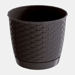 Ratolla Rodada 2,8L