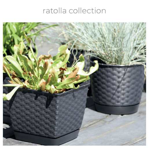Ratolla Rodada 2,8L