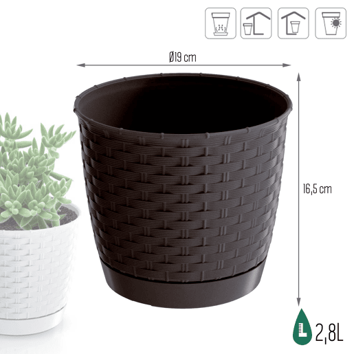 Ratolla Rodada 2,8L
