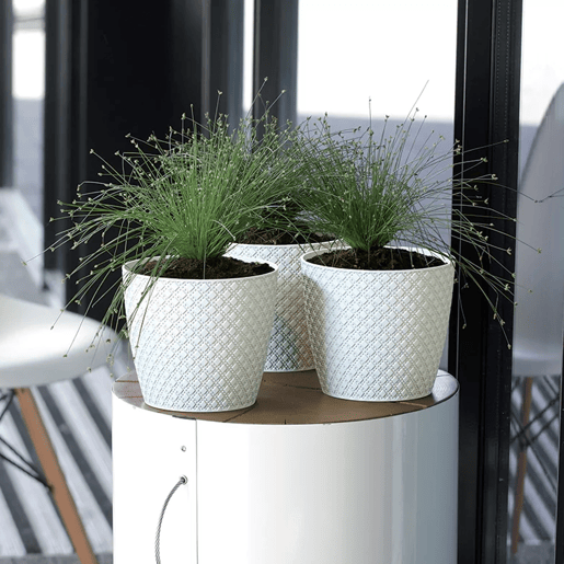 Orient 2l Pot., Dimensões (mm) 157x157x138, cor creme