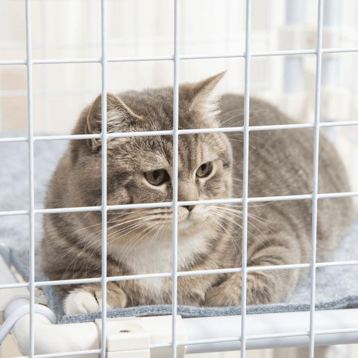 PawHut Recinto Metálico para Animais de Estimação Gaiola para Coelhos com 16 Painéis de 68x68x2,5cm Trava e Escada para Cobaias Desenho DIY Branco