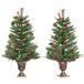 Árbol de Navidad PE, PVC, Acero, PP HOMCOM Árbol de Navidad PE, PVC, Acero, PP HOMCOM Verde