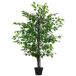 Árbol de Ficus Artificial PE, Cemento, PP, Tela Árbol de Ficus Artificial PE, Cemento, PP, Tela Verde