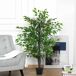 Árbol de Ficus Artificial PE, Cemento, PP, Tela Árbol de Ficus Artificial PE, Cemento, PP, Tela Verde