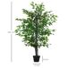 Árbol de Ficus Artificial PE, Cemento, PP, Tela Árbol de Ficus Artificial PE, Cemento, PP, Tela Verde