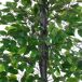 Árbol de Ficus Artificial PE, Cemento, PP, Tela Árbol de Ficus Artificial PE, Cemento, PP, Tela Verde