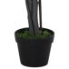 Árbol de Ficus Artificial PE, Cemento, PP, Tela Árbol de Ficus Artificial PE, Cemento, PP, Tela Verde