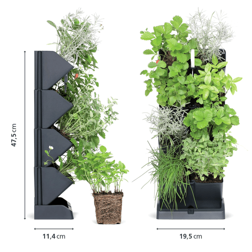MacEtero vertical Prosperplast Mini Cascade de plástico na cor antracite 19,5 (comprimento) x 11,4 (largura) x 47,5 (alto) cm com tesoura de jardim