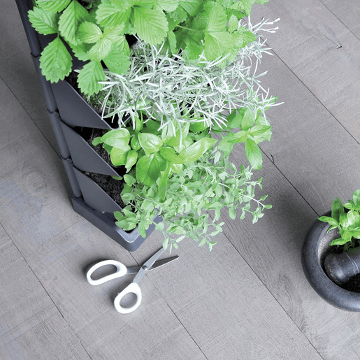 MacEtero vertical Prosperplast Mini Cascade de plástico na cor antracite 19,5 (comprimento) x 11,4 (largura) x 47,5 (alto) cm com tesoura de jardim