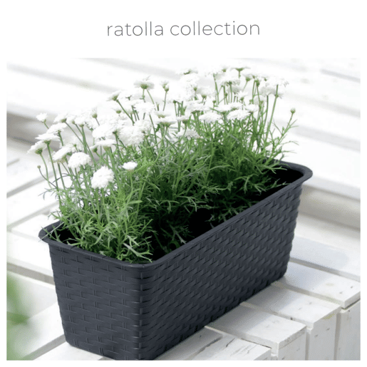 Ratolla p pot, dimensões (mm) 590x154x142, cor antracite
