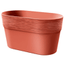 Terracota