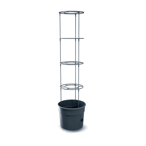 MacEtero Maceter Prosperplast Grower de plástico na cor antracite 29.5 (comprimento) x 29,5 (largura) x 23.6-115.2 (alto) cm