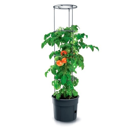 MacEtero Maceter Prosperplast Grower de plástico na cor antracite 29.5 (comprimento) x 29,5 (largura) x 23.6-115.2 (alto) cm
