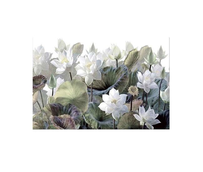 Fotografia impresa cristal color verde serie nenufares 150cm