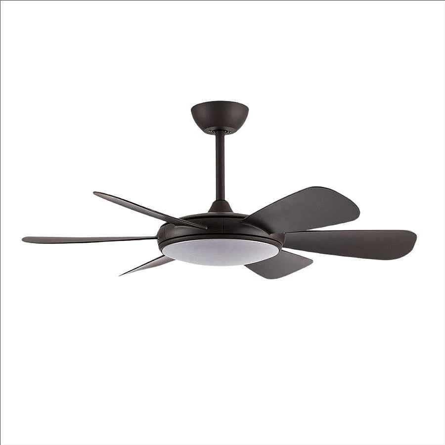 Ventilador De Techo Metal Serie Oriel