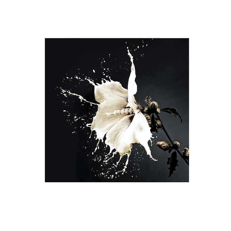 Fotografia impresa cristal color blanco serie splash 100cm
