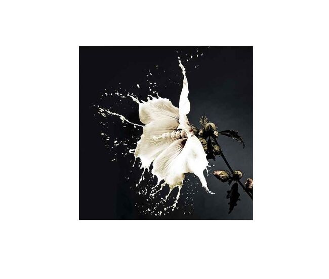 Fotografia impresa cristal color blanco serie splash 100cm