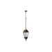 Colgante Para Exterior Aluminio Serie Regulus Colgante Para Exterior Aluminio Serie Regulus Negro
