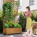 Jardinera con Enrejado Madera de Abeto Outsunny Jardinera con Enrejado Madera de Abeto Outsunny Amarillo