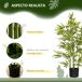 Planta Artificial PEVA, PP, Bambú HOMCOM, hogar - decoración Planta Artificial PEVA, PP, Bambú HOMCOM, hogar - decoración Verde