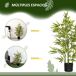 Planta Artificial PEVA, PP, Bambú HOMCOM, hogar - decoración Planta Artificial PEVA, PP, Bambú HOMCOM, hogar - decoración Verde