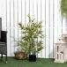 Planta Artificial PEVA, PP, Bambú HOMCOM, hogar - decoración Planta Artificial PEVA, PP, Bambú HOMCOM, hogar - decoración Verde