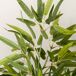 Planta Artificial PEVA, PP, Bambú HOMCOM, hogar - decoración Planta Artificial PEVA, PP, Bambú HOMCOM, hogar - decoración Verde