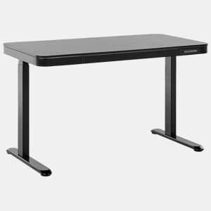 Secretária de pé ajustável eletricamente KENLY Preto 120 cm 60 cm com entrada USB