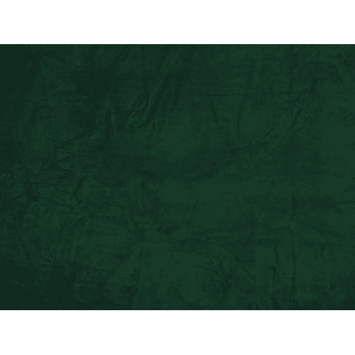 Cama Veludo FITOU 180 x 200 cm Verde escuro
