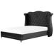 Negro mkp1199211_01.jpg?w=76&h=76&func=fit&bg_color=fff&org_if_sml=1