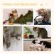 Árbol para Gato PawHut, mascotas - accesorios para gatos Árbol para Gato PawHut, mascotas - accesorios para gatos Marrón