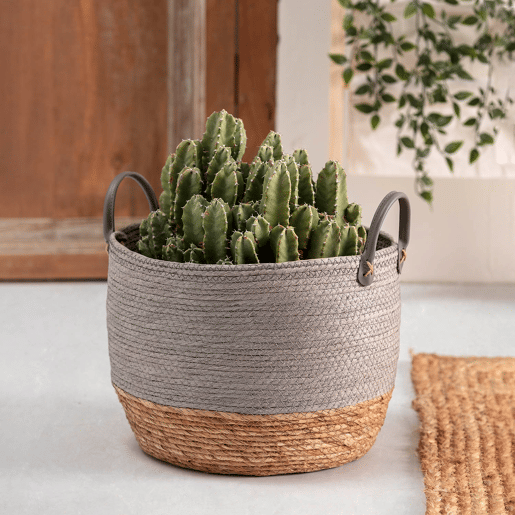 Conjunto de 3 cestos Neves em fibra natural e papel, cinzentonatural