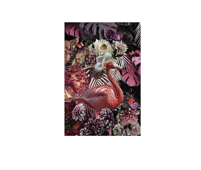 Fotografia impresa cristal color rosa serie flamenco 80cm