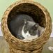 Cama para Gato hoja de plátano, alambre de metal PawHut Cama para Gato hoja de plátano, alambre de metal PawHut Marrón