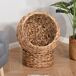 Cama para Gato hoja de plátano, alambre de metal PawHut Cama para Gato hoja de plátano, alambre de metal PawHut Marrón