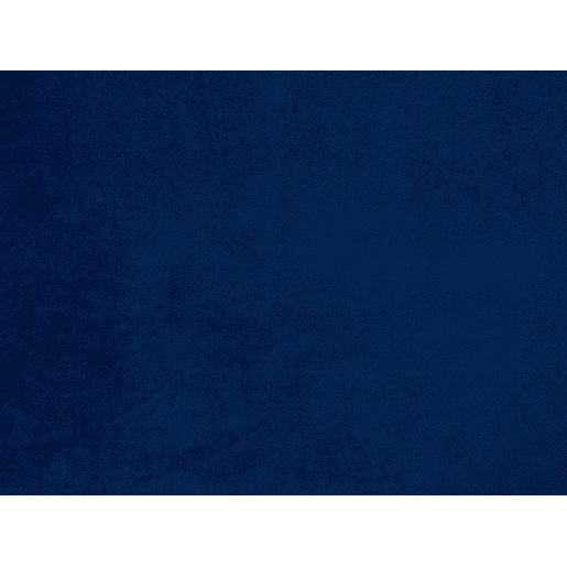 Sofá FENES Veludo Azul marinho 2 lugares
