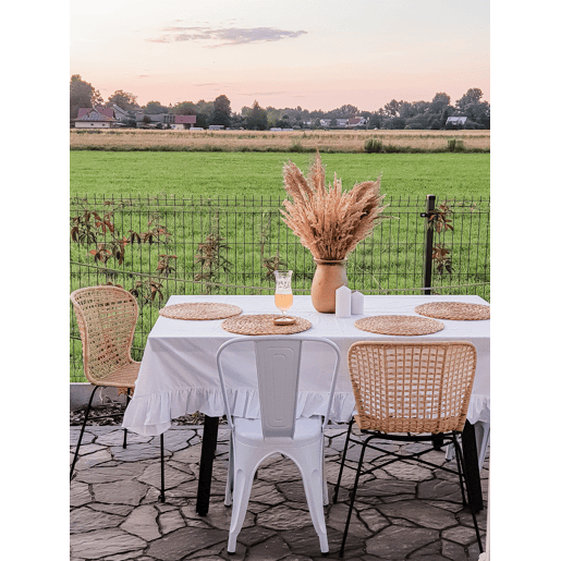 Conjunto de 2 cadeiras de jantar ELFROS Rattan Natural
