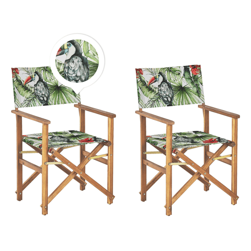 Conjunto de 2 cadeiras de jardim CINE Madeira de acácia Verde