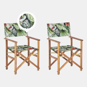 Conjunto de 2 cadeiras de jardim CINE Madeira de acácia Verde