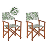 Conjunto de 2 cadeiras de jardim CINE Madeira de acácia Castanho escuro
