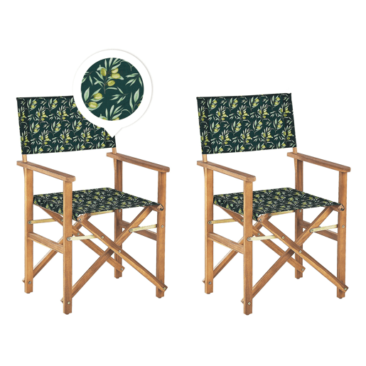 Conjunto de 2 cadeiras de jardim CINE Madeira de acácia Verde escuro