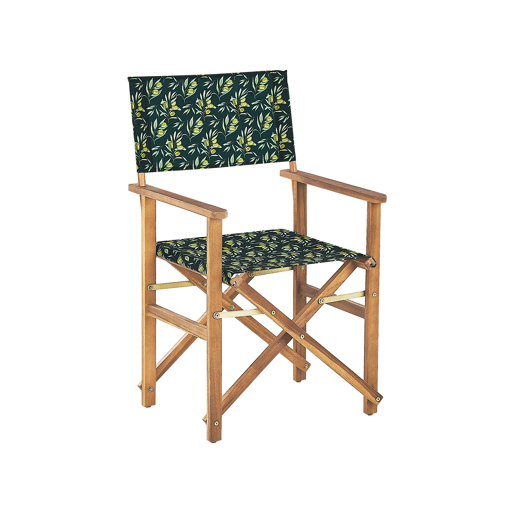 Conjunto de 2 cadeiras de jardim CINE Madeira de acácia Verde escuro