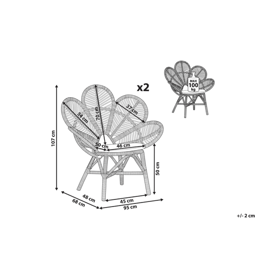 Conjunto de 2 cadeiras pavão FLORENTINE Rattan Natural