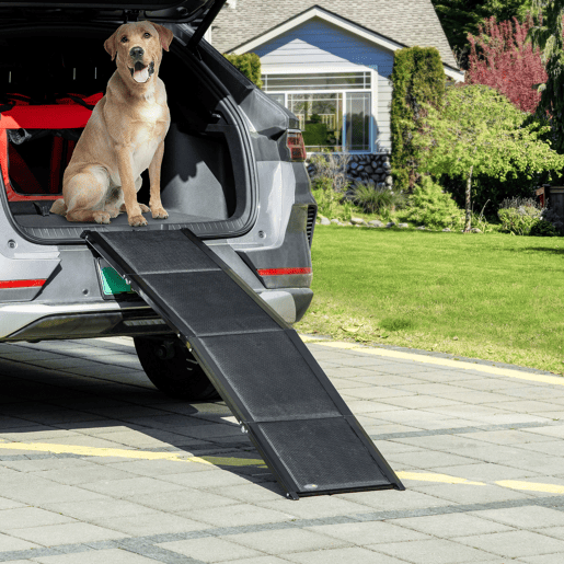 PawHut Rampa Dobrável para Cães Rampa para Animais de Estimação com Superfície Antiderrapante Alça e Gancho Carga Máxima 60 kg 158x43,5x2,5 cm Preto