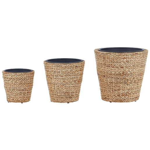 Conjunto de 3 vasos para plantas PLAKA Flor de Jacinto 293749 cm Natural