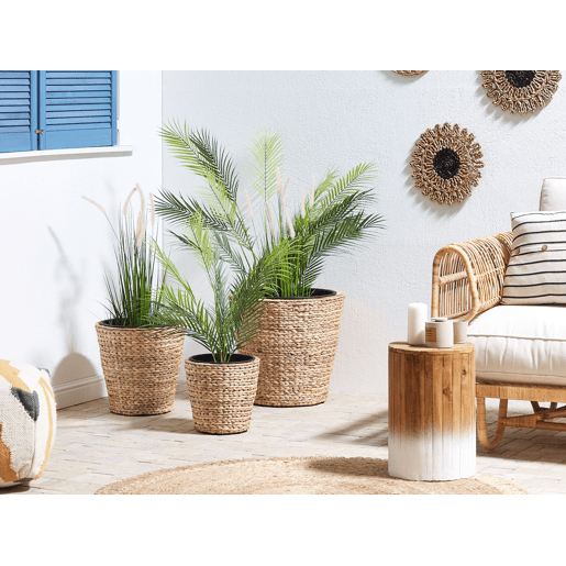 Conjunto de 3 vasos para plantas PLAKA Flor de Jacinto 293749 cm Natural