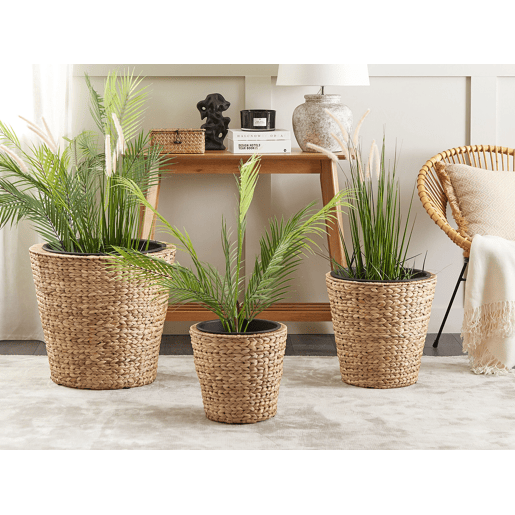 Conjunto de 3 vasos para plantas PLAKA Flor de Jacinto 293749 cm Natural